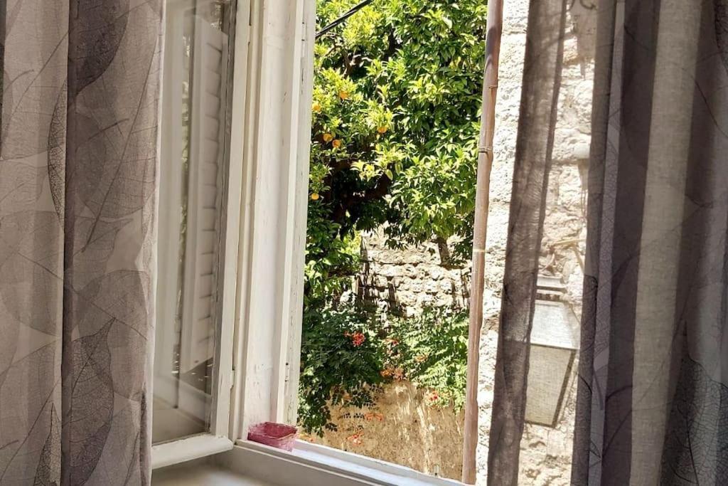 House Marija In Old Town Appartamento Ragusa Esterno foto